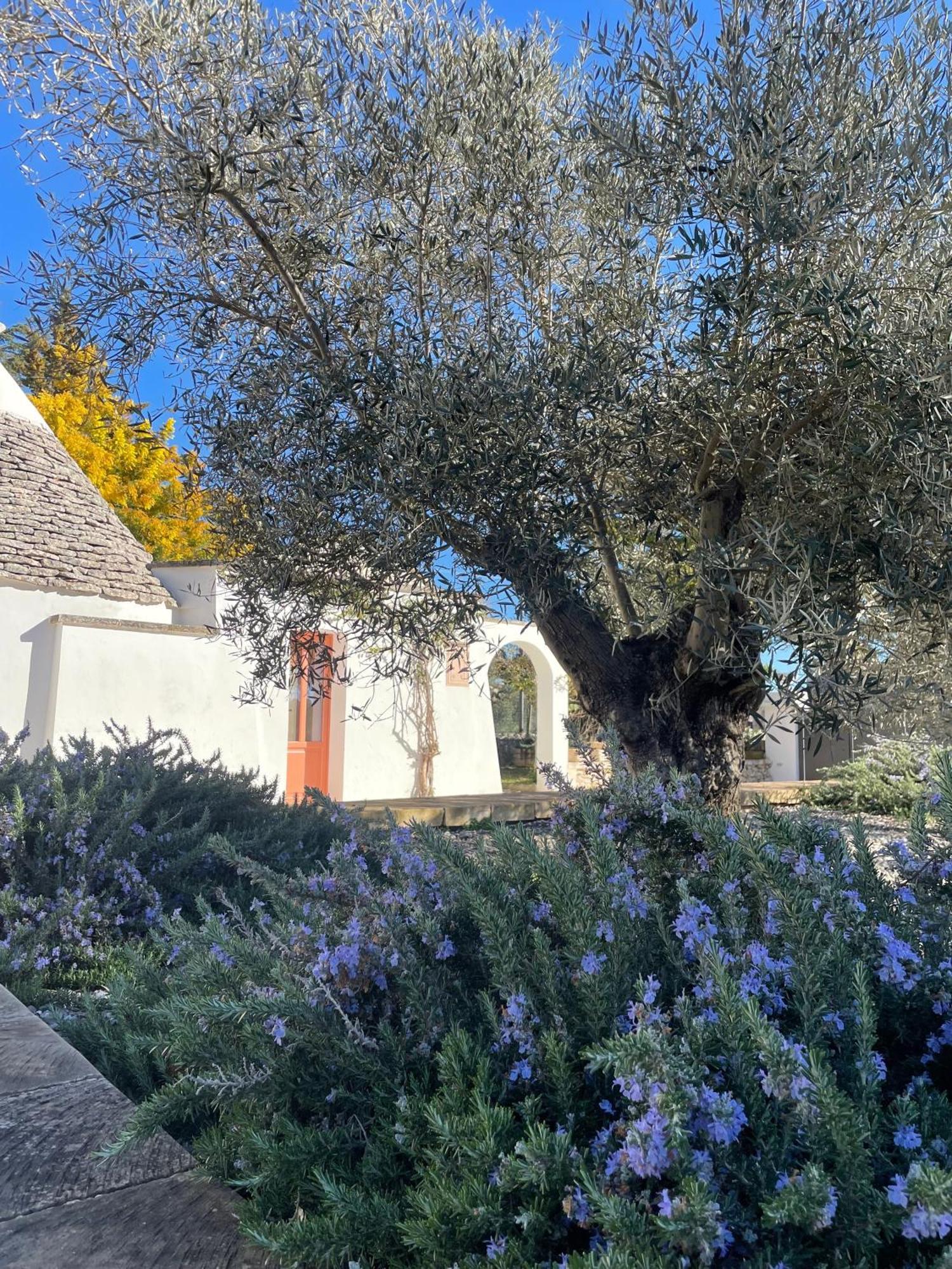 Trullo Panna Fragola - Exclusive Four Bedroom Villa & Private Pool Martina Franca Exteriér fotografie